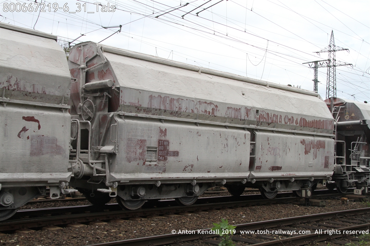 800667219-6_31_Tals.JPG
